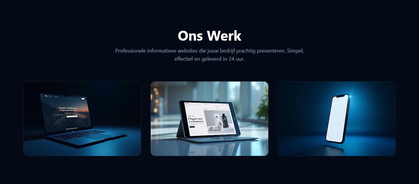 Sectie "Professionele Diensten" van 24uurwebsite.nl