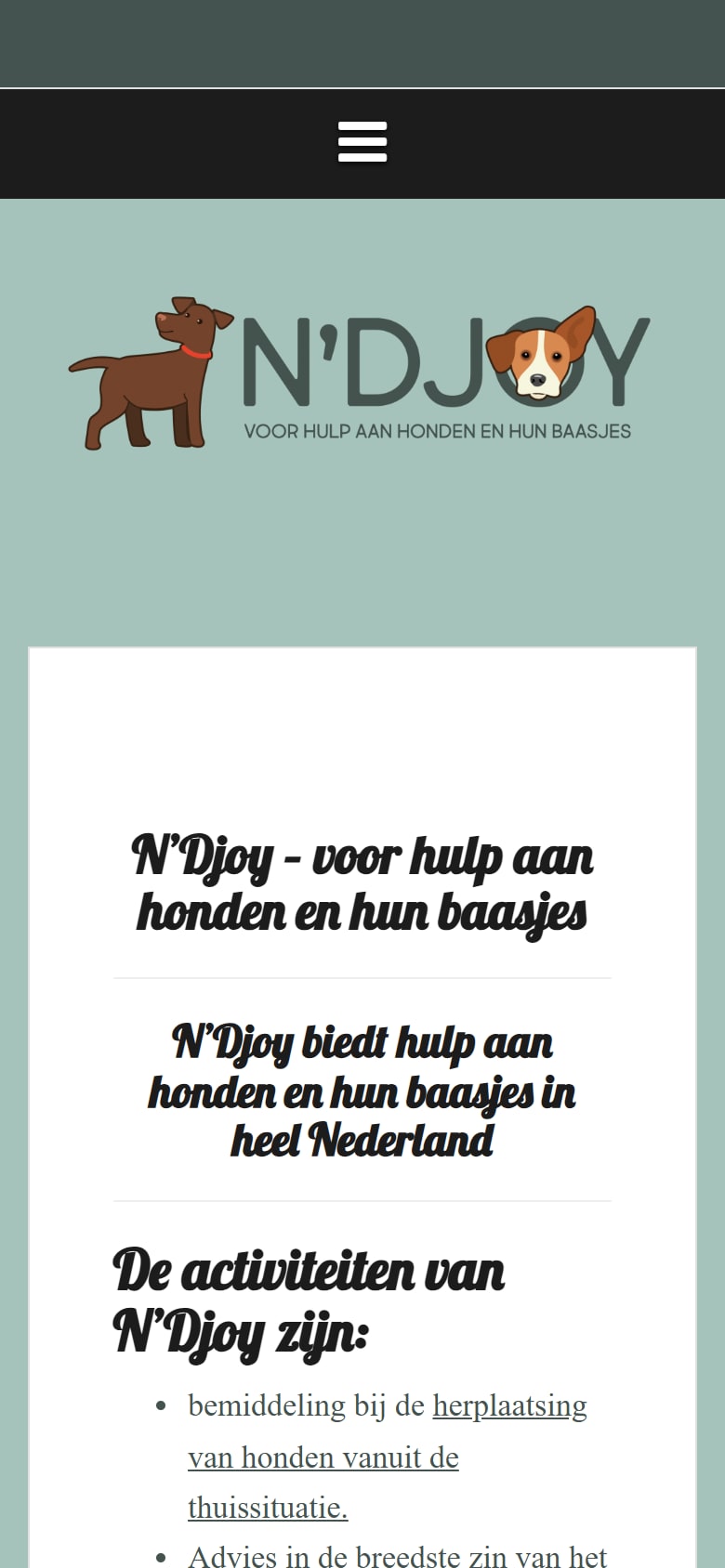 Homepage van N’Djoy op mobiel