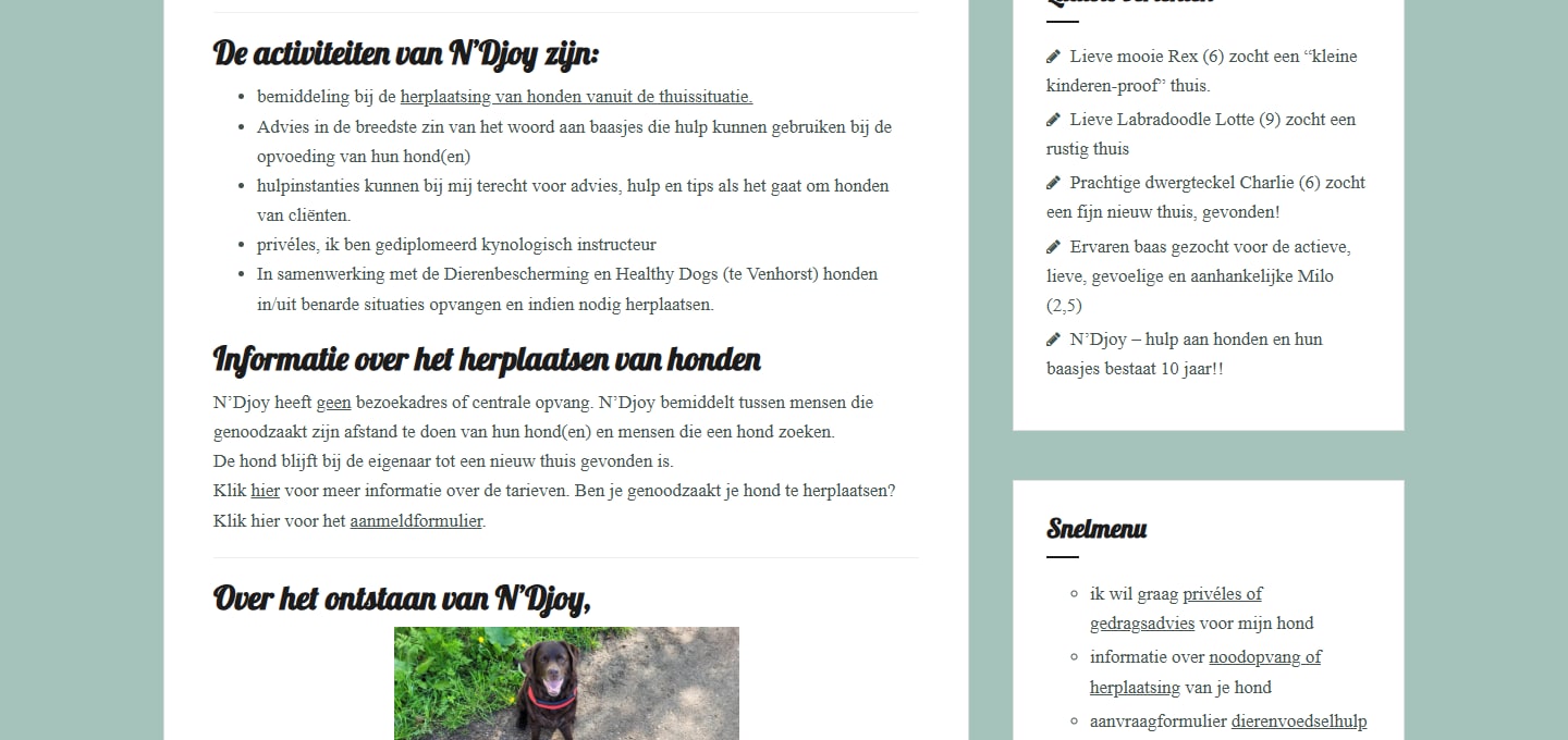 Sectie "De activiteiten van N’Djoy zijn:" van N’Djoy